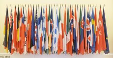 OECD