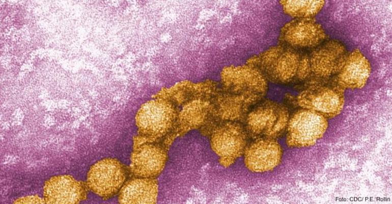 Virusul West Nile